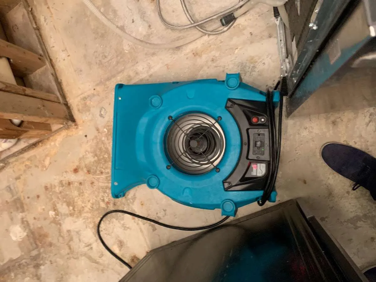 Air mover drying equipment for Mold Remediation & Removal in East Port Orchard