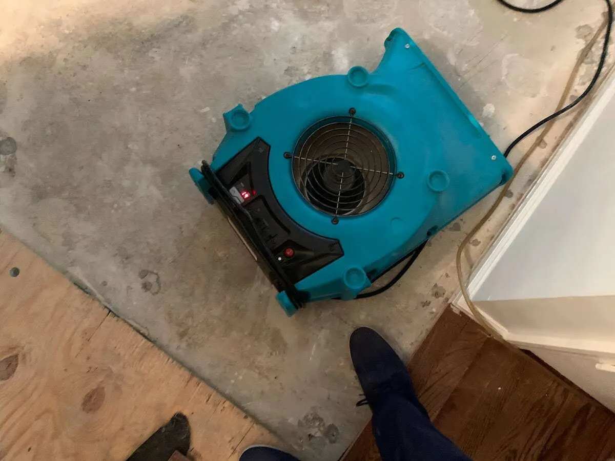 Air mover drying subfloor during Commercial Water Damage Restoration in East Port Orchard